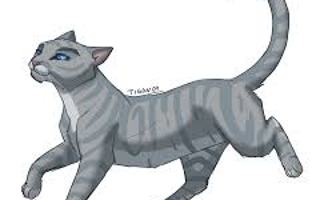 Would Sliverstream had gone to thunderclan to rasie her kits along side greystripe IF she lived?