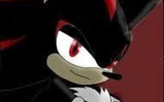 Question Or Dare Shadow The Hedgehog