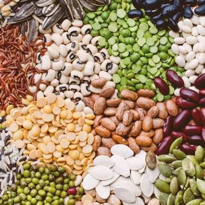 Nirankari Seeds-Best online seed stores in India's Photo