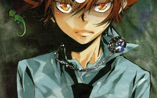 Katekyo Hitman Reborn!