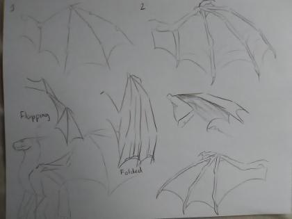 My dragon art page?'s Photo