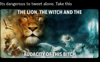 the lion the witch and the audacity of this bitch