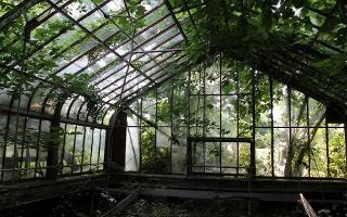 abandoned greenhouses because aesthetic