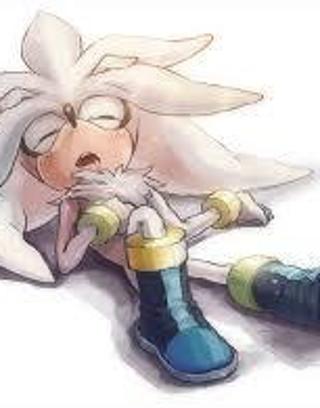 Silver The Hedgehog fangirls