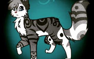 warrior cats fanclub!