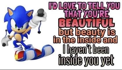 Sonic the Hedgehog's Photo