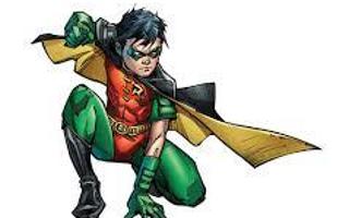 are you a robin fan?