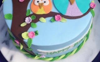 Which owl cake looks cuter?