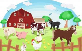 What Is Your Favorite Farm Animal?