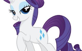 MLP Favorite Pic of Rarity