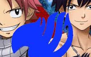 Natsu or Gray?