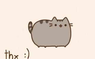 Which Pusheen Cat do you likie more?