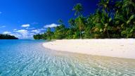 Stranded FOREVER on a deserted island, what would you prefer? Without the possibility to change afterwards