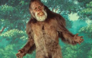 Is Bigfoot Real?