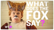 Do you like the song, What Does The Fox Say?