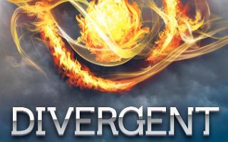 Do you like the Divergent Series? (1)