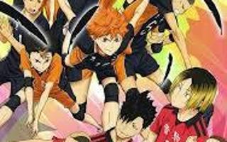 Karasuno or Nekoma??