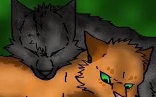 Should Squirrelflight and Ashfur be together?