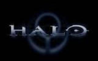 What team do you like in halo?