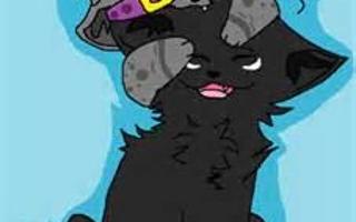 Ashfur or Scourge?