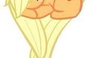 What Applejack Picture Is Cutest?