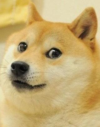 Which doge name sounds the best?