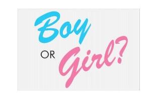 Are you a boy or a girl?