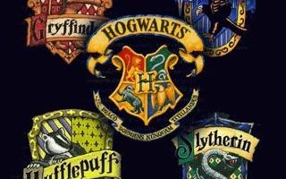 Which House? (Hogwarts houses: Slytherin, Hufflepuff, Ravenclaw, and Gryffindor)