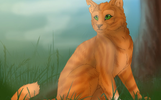 Whose a better match for Squirrelflight?