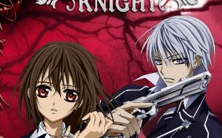 Do you like Vampire Knight?