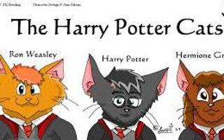 Harry Potter or Warrior Cat?