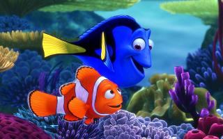 Which movie do you like more: Finding Nemo or Finding Dory?