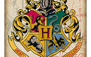 What is your Hogwarts House?