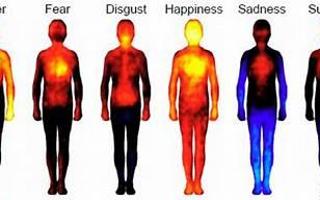 What are you feeling rn?