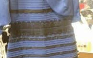 What Colors Do You See?