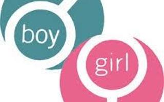 Are you a boy or girl?