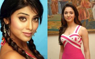 Do you like Shriya Saran more or Tamanna Bhatia?