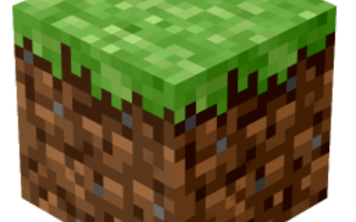 Do you play minecraft? (2)