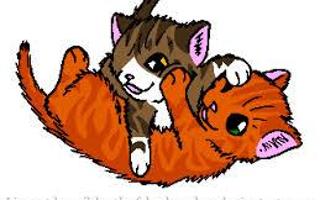 Leafpool or Squirrelflight?