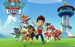 Who is your favorite PAW Patrol pup Tracker or Everest?