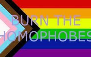 Should I make a page labled "Burn The Homophobes"? (I'm asking bc I don't wanna offend or make anyone mad)