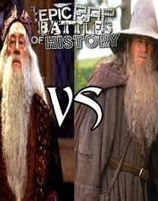 Which movie character do you like more: Gandalf or Dumbledore?