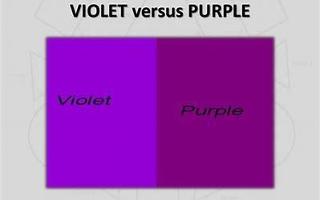 Do you say "purple" or "violet"?