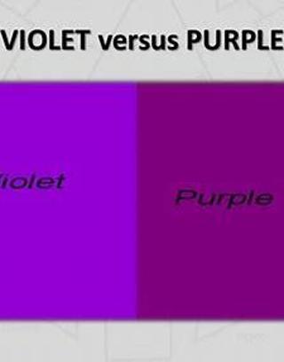 Do you say "purple" or "violet"?