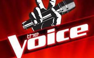 If You were a singer trying out on The Voice and all judges turned for you ,which judge would you pick?