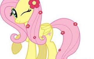 fluttershy is?