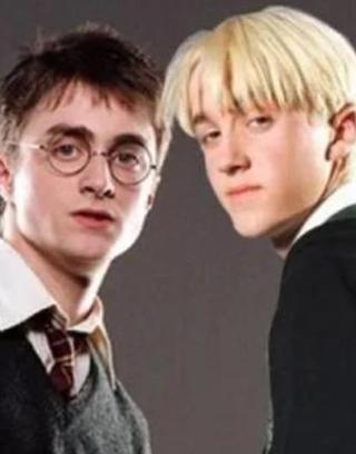 Is Draco or Harry Cuter