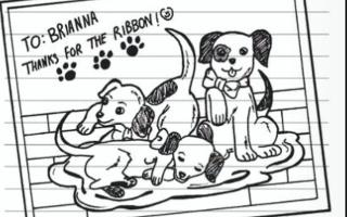 What is the cuter dork diaries puppy