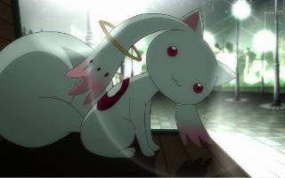 If you could, would you make a contract with Kyubey?