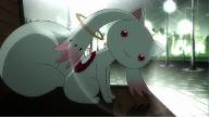 If you could, would you make a contract with Kyubey?